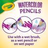 imageCrayola Classpack Watercolor Pencils 240ct 20 each of 12 Colors Great for Classroom Educational Art ToolsWatercolor