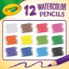 imageCrayola Classpack Watercolor Pencils 240ct 20 each of 12 Colors Great for Classroom Educational Art ToolsWatercolor