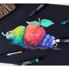 imageCrayola Signature Premium Watercolor Crayon Sticks ampamp Paintbrush 12 Count Gift1 Count Pack of 1