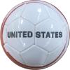 imageIcon Sports Officially Licensed Tottenham Hotspur Regulation Size 5 Soccer BallStorm