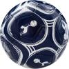imageIcon Sports Officially Licensed Tottenham Hotspur Regulation Size 5 Soccer BallTottenham Comet