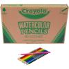 imageCrayola Classpack Watercolor Pencils 240ct 20 each of 12 Colors Great for Classroom Educational Art ToolsWatercolor