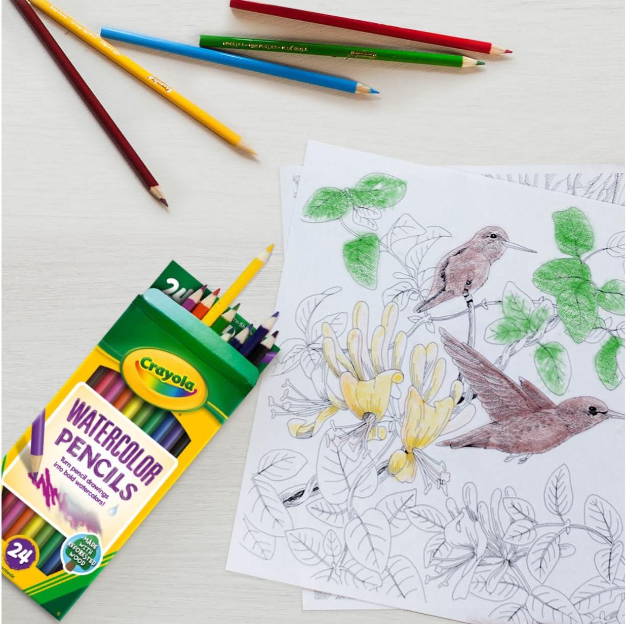 imageCrayola Watercolor Colored Pencils 24ct Watercolor Paint Alternative Watercolor Pencil Set for Kids Art Supplies Gift for Kids 31 Count Pack of 1