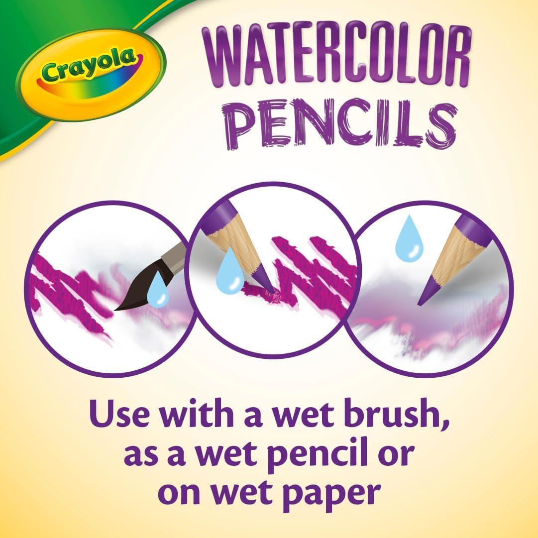 imageCrayola Watercolor Colored Pencils 24ct Watercolor Paint Alternative Watercolor Pencil Set for Kids Art Supplies Gift for Kids 31 Count Pack of 1