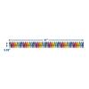 imageEureka Classic Crayola Decorative Classroom and Bulletin Board Trim for Teachers 325quot Wide 12 Strips for 37 Total Feet
