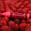 imageLip Smacker Crayola Lip Balm Party Pack  8 Moisturizing Lip Balms Cotton Candy Orange Sherbert Watermelon Berry Apple Banana Hydrating ampamp Protecting  CrueltyFreeCrayola