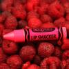 imageLip Smacker Crayola Lip Balm Party Pack  8 Moisturizing Lip Balms Cotton Candy Orange Sherbert Watermelon Berry Apple Banana Hydrating ampamp Protecting  CrueltyFreeCrayola