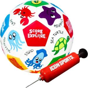 imageCrayola Official Soccer Ball  Unisex Kids  Division Box Size 3Marine